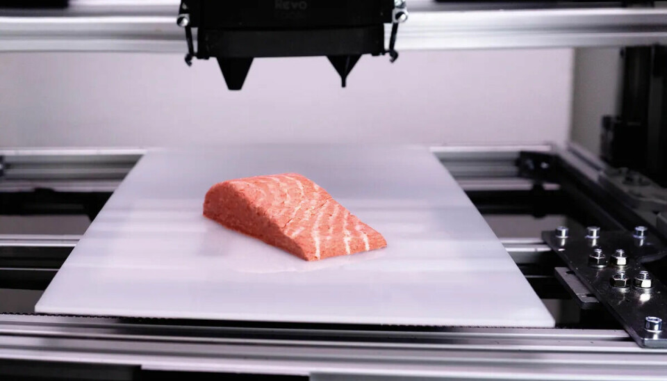 Filete de salmón vegano impreso en 3D.