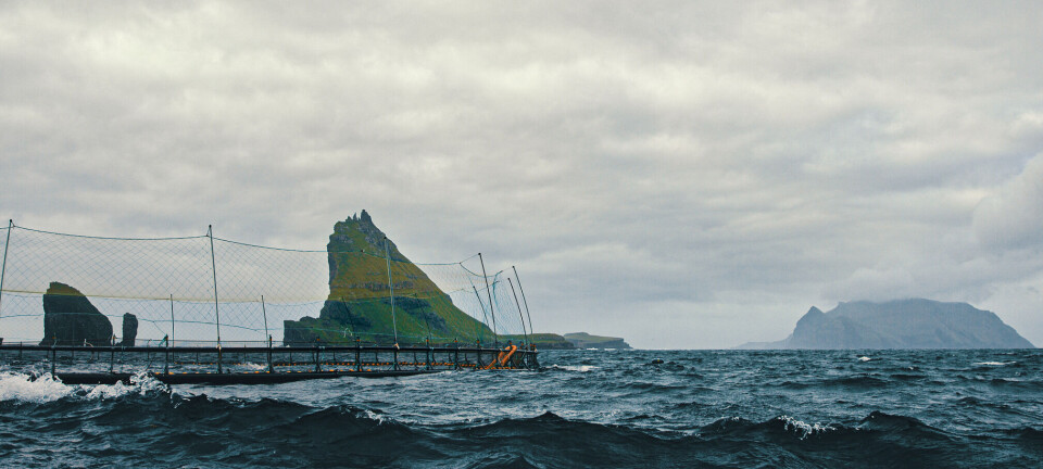 Productor de salmón ha reducido a la mitad sus emisiones de CO2 sin aerolíneas