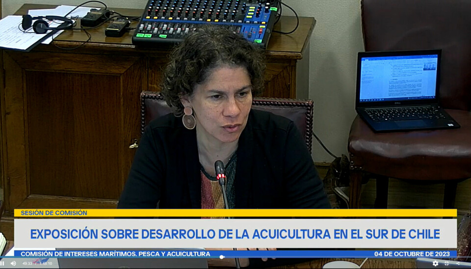 La ministra del Medio Ambiente, Maisa Rojas, exponiendo en el Congreso.