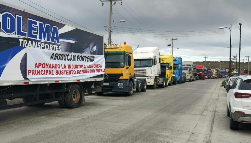 Una caravana sirvió para expresar el respaldo de la comunidad a los trabajadores de la compañía salmonicultora, cuya desaparición pondría en jaque a la economía local.
