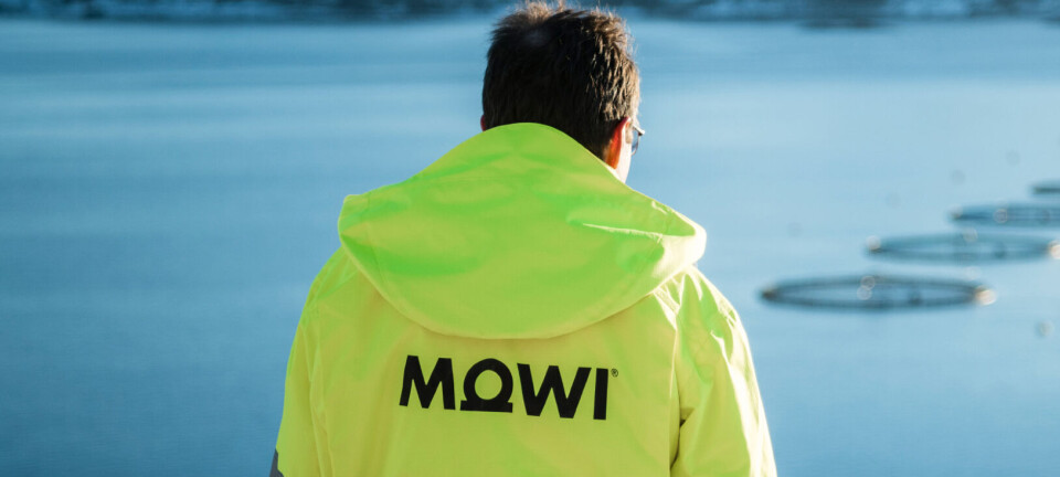 El balance de Mowi Chile al segundo trimestre en producción y ganancias