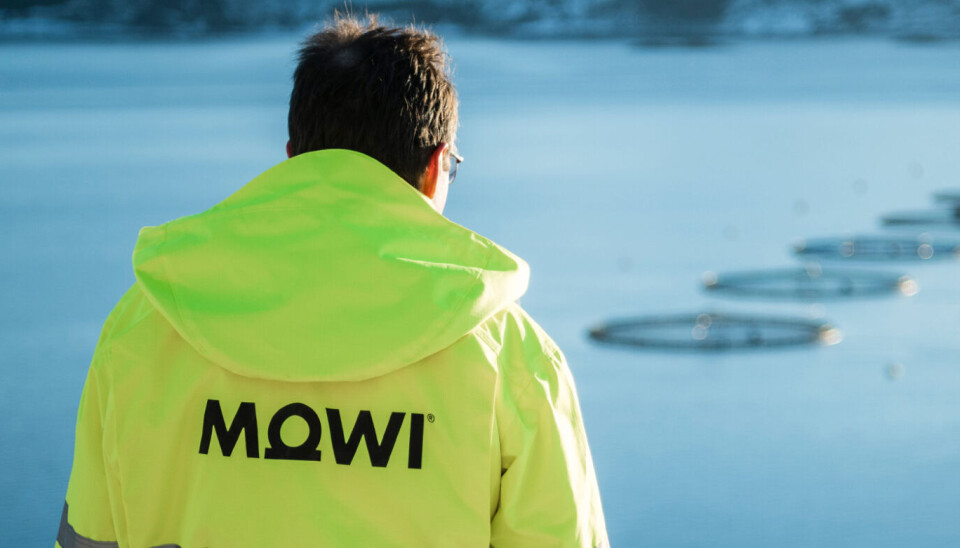 El balance de Mowi Chile al segundo trimestre en producción y ganancias
