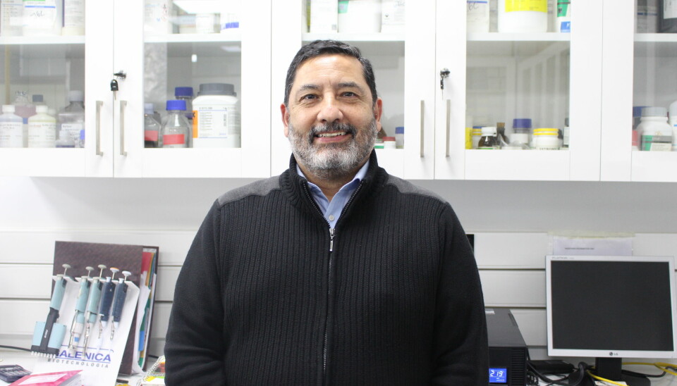Dr. Juan Guillermo Cárcamo, investigador y académico de la Facultad de Ciencias de la Universidad Austral de Chile y del Centro Incar.