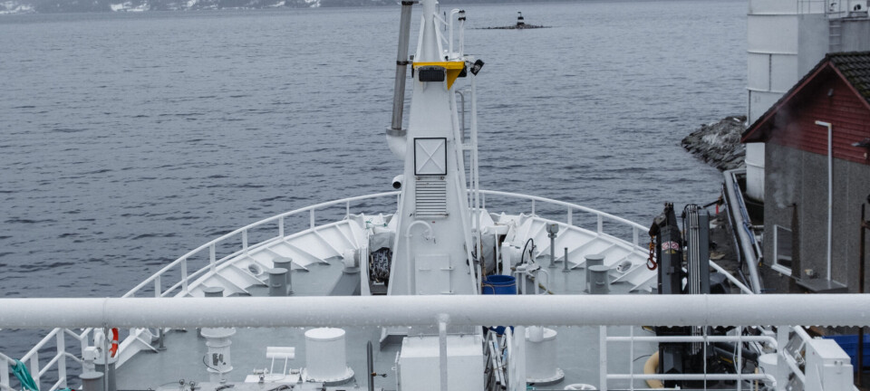 El trabajo a bordo de un buque de procesamiento de salmón