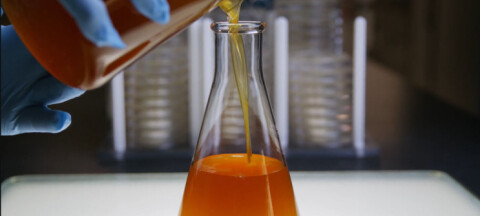 Veramaris recibe nueva autorización para comercializar aceite de algas