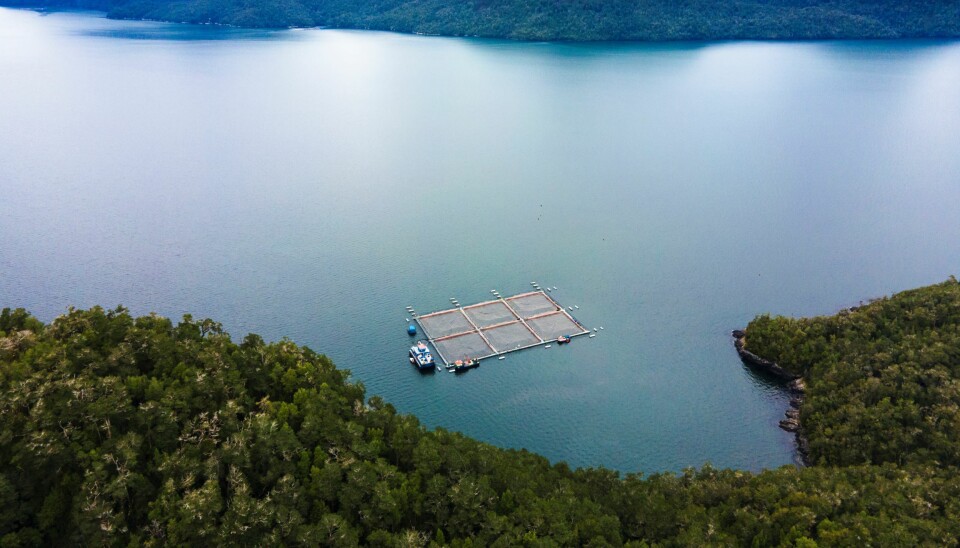 Cooke Chile emplaza a ONG para que transparente de dónde proviene su millonario financiamiento