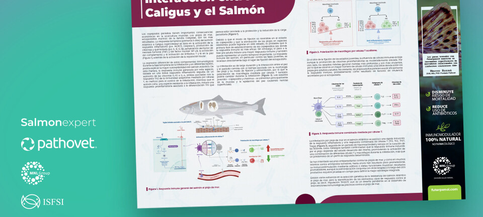 Salmonexpert presenta nueva serie de fichas técnicas “Salmon immunology series II”