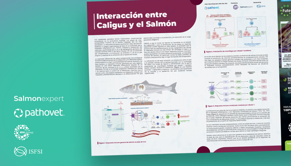 Salmonexpert presenta nueva serie de fichas técnicas “Salmon immunology series II”