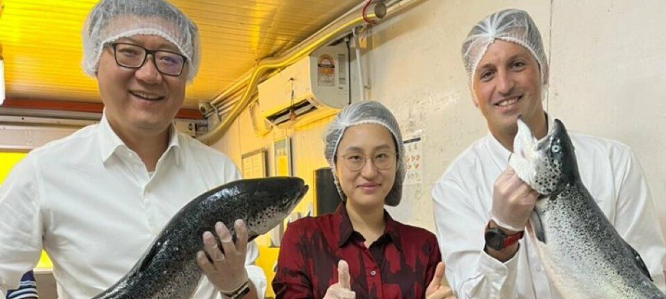 AquaChile da el primer paso con nueva ruta para importante mercado asiático