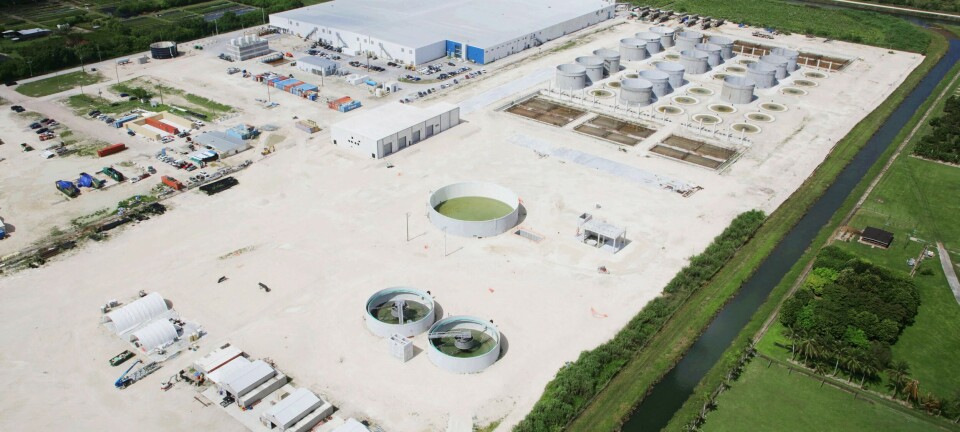 Atlantic Sapphire deberá invertir US$94 millones para obtener ganancias