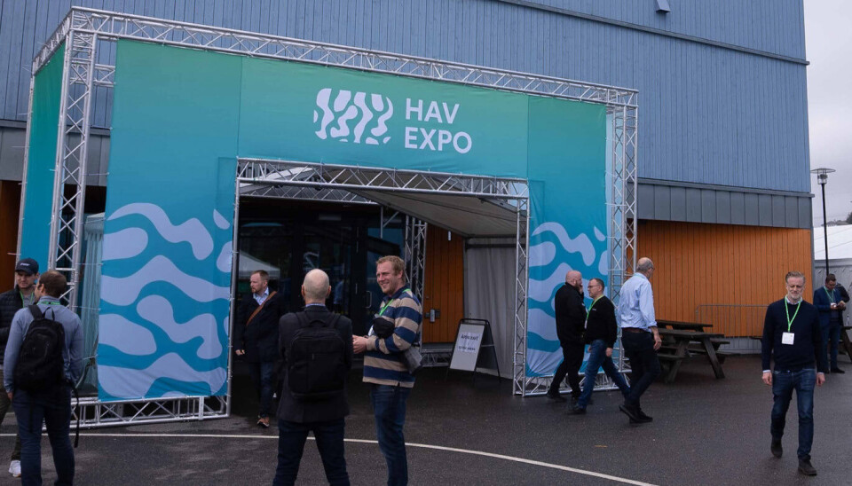 HavExpo 2022.
