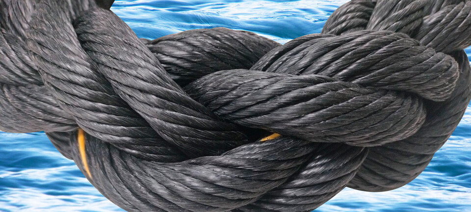 Presentan primer cabo 100% reciclado que reduce la huella de carbono