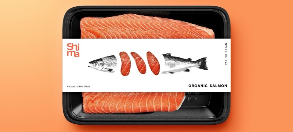 Lanzarán nueva marca de salmón chileno en la Seafood Expo Global