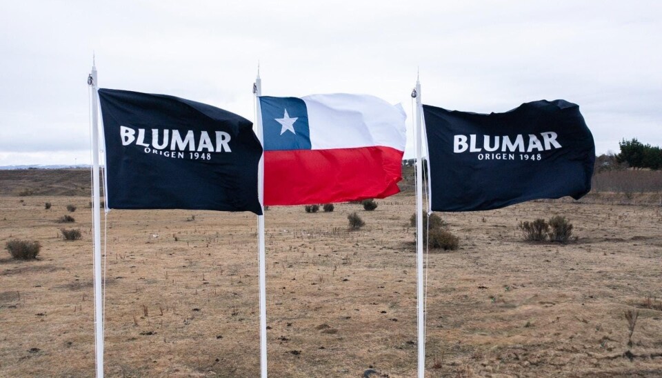 Blumar suscribe nuevo crédito con compromisos sostenibles y meta de equidad de género