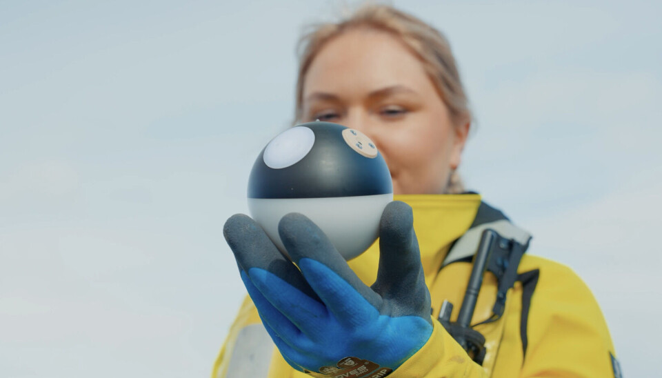 Sensor Globe ha trabajado durante varios años para desarrollar un sensor lanzarán en la feria Havexpo en Bergen a principios de mayo.