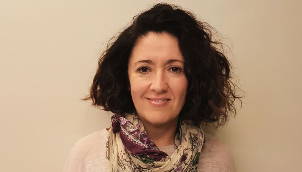 Ana Belén Bueno, representante comercial de ProChile en Malasia.