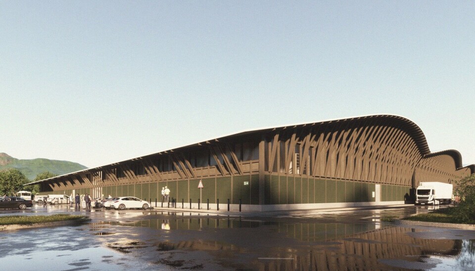 Imagen: Cermaq Chile.