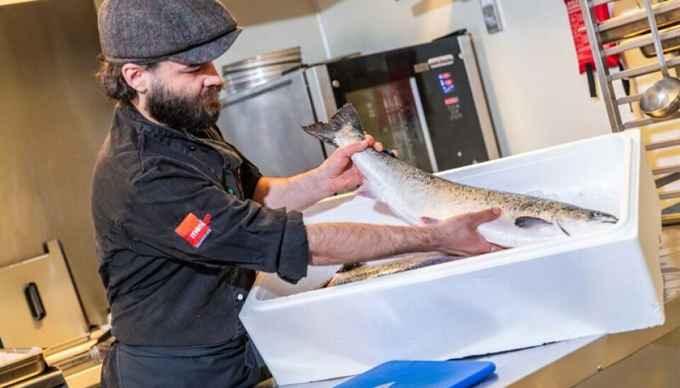 La nueva caja para pescado de Bewi es más respetuosa con el medio ambiente.