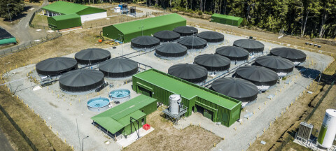 Autoridad apoya la exportación de ovas de salmón desde Región de La Araucanía