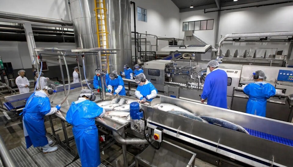 Instalaciones de Nordic Aqua Partners en Ningbo, China.
