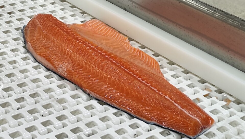 Foto: Salmonexpert.