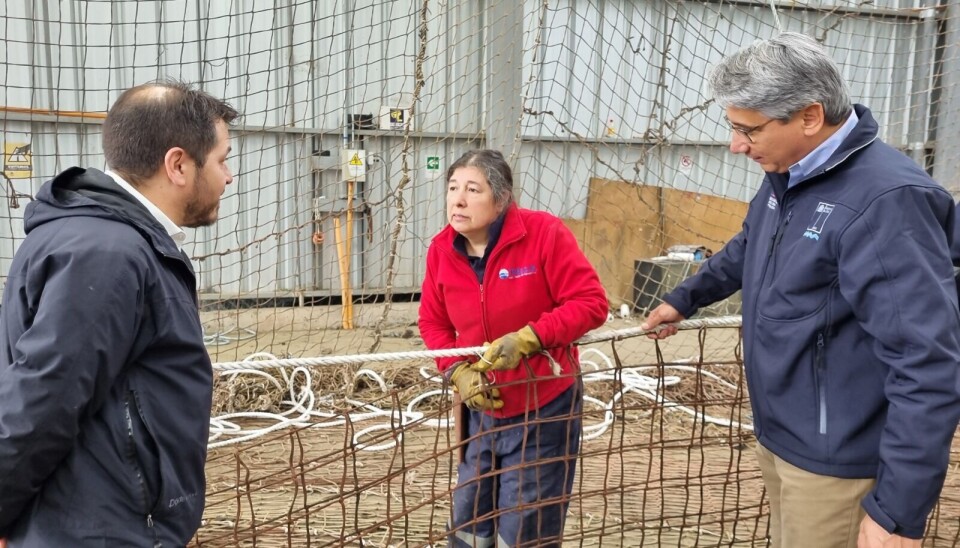 Foto: Seremi del Tabajo Región de Aysén.