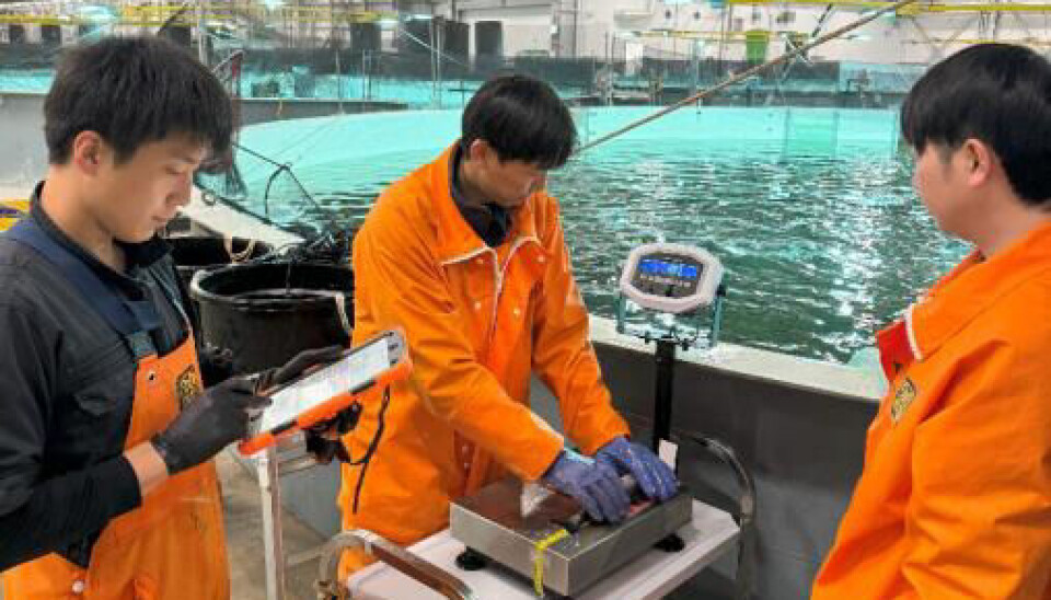 Examinación de los peces.