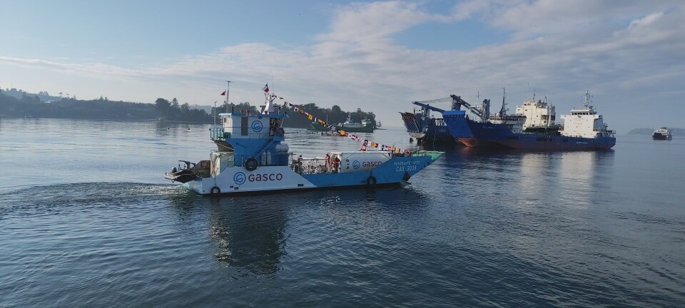 Chile cuenta con el primer barco para distribuir gas licuado a centros de cultivo de salmón