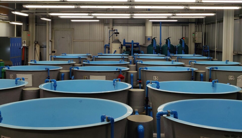 El estudio se realizó en Center for Research and Innovation in Aquaculture (CRIA) de la Universidad de Chile, laboratorio que es parte del centro CASA de la OMSA.