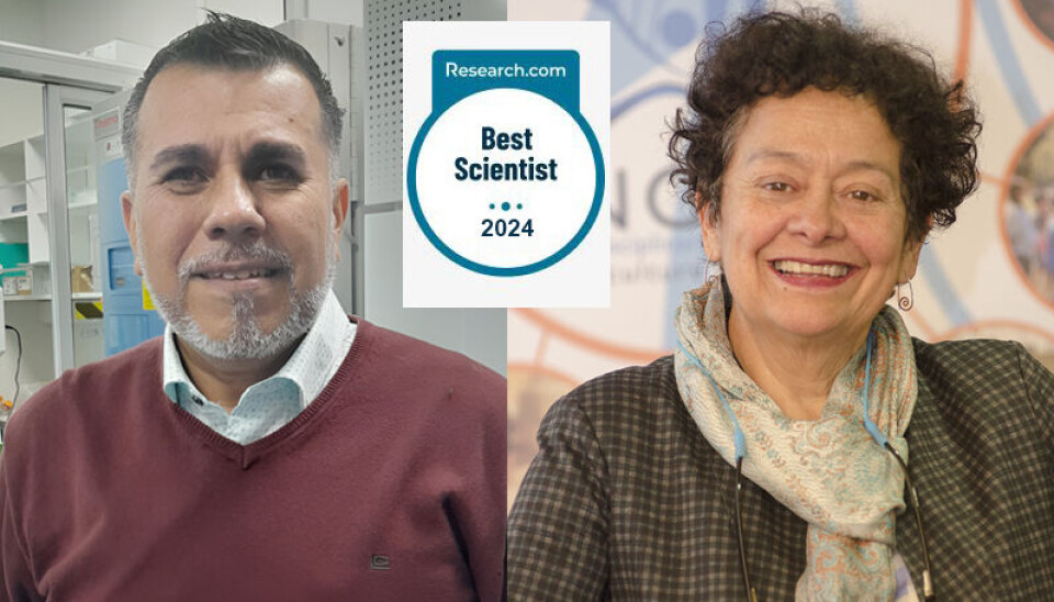 Investigadores del Centro Incar destacan en el ranking de Research.com