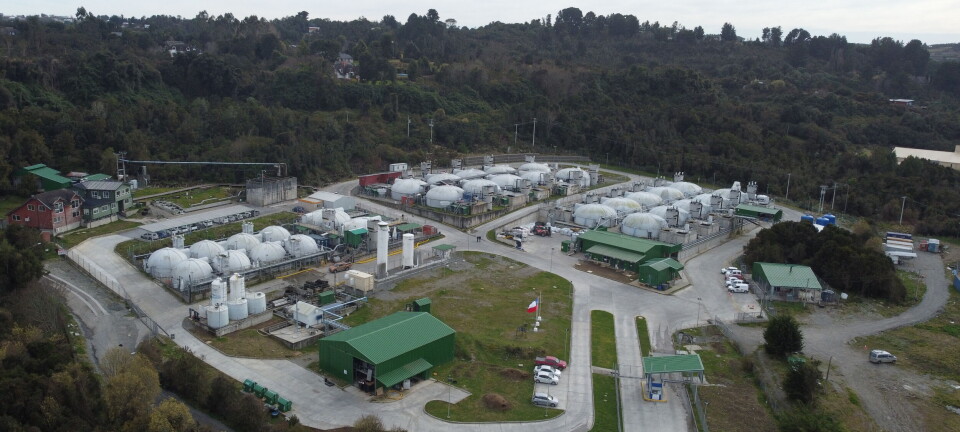 Lago Sofía: tecnología, bienestar animal y economía circular en salmonicultura