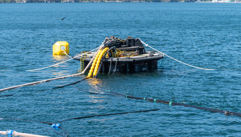 Esto es lo que se ve de Watermoon desde la superficie. Por el contrario, bajo el nivel del mar, el prototipo tiene una altura de 72 metros.