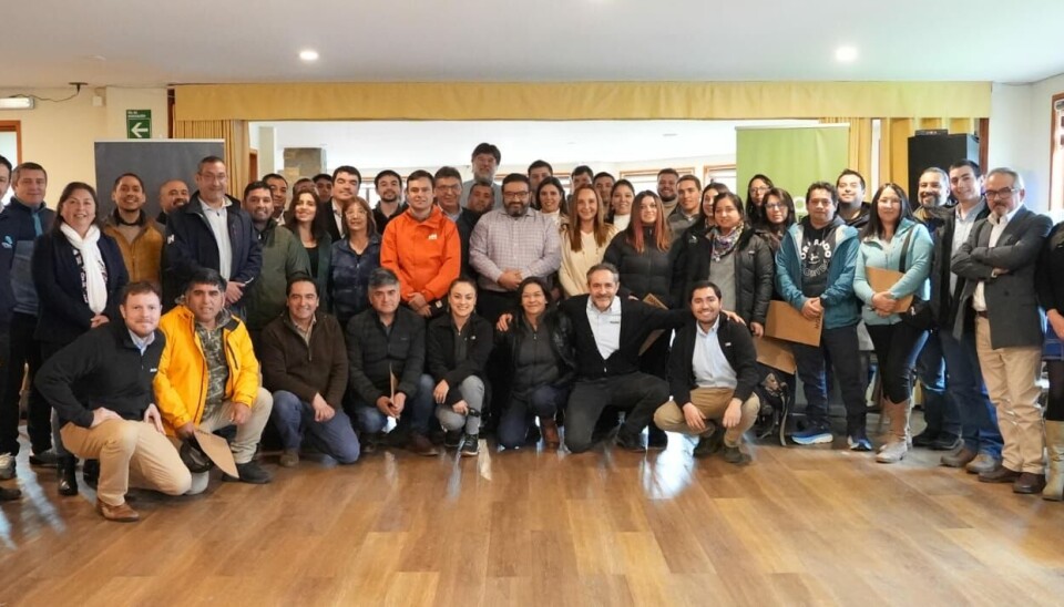 Foto: Mowi Chile.