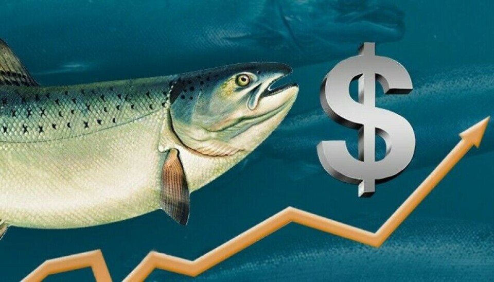 El pulso de las finanzas de seis grandes productores de salmón chileno