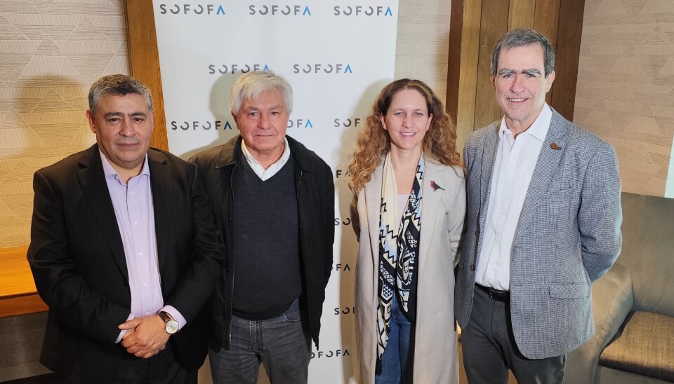 Patricio Ampuero, Arturo Clément, Rosario Navarro y Juan José Ugarte.