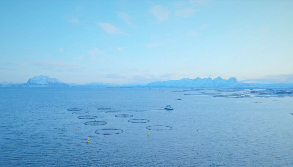 La prueba a gran escala se llevó a cabo bajo los auspicios de Biomar y en las instalaciones marinas de LetSea en Helgeland.