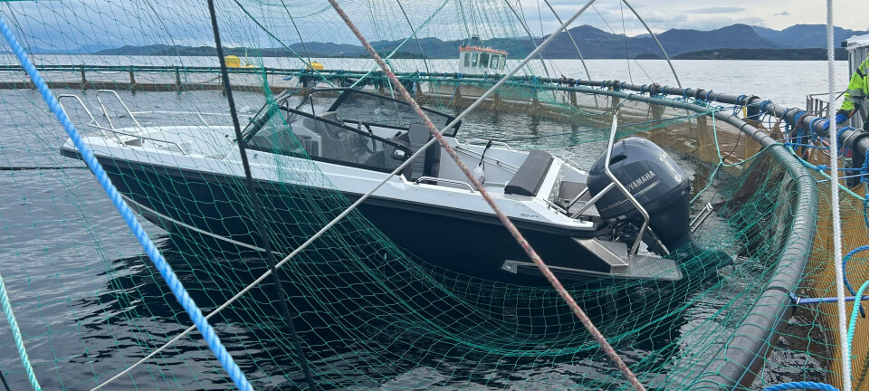 Sospechan exceso de alcohol en conductor de lancha que colisionó con centro de cultivo