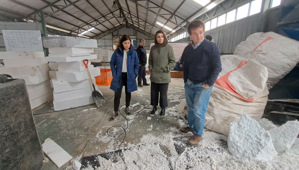 Residuos en soluciones: Desarrollan innovador producto con EPS de salmonicultoras
