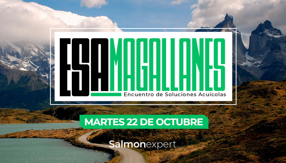 ESA Magallanes