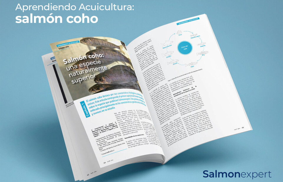 Salmonexpert presenta nueva serie de publicaciones enfocadas en salmón coho