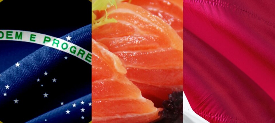 Brasil y Japón mantienen cifras azules en exportación de salmón chileno: EE.UU. no repunta