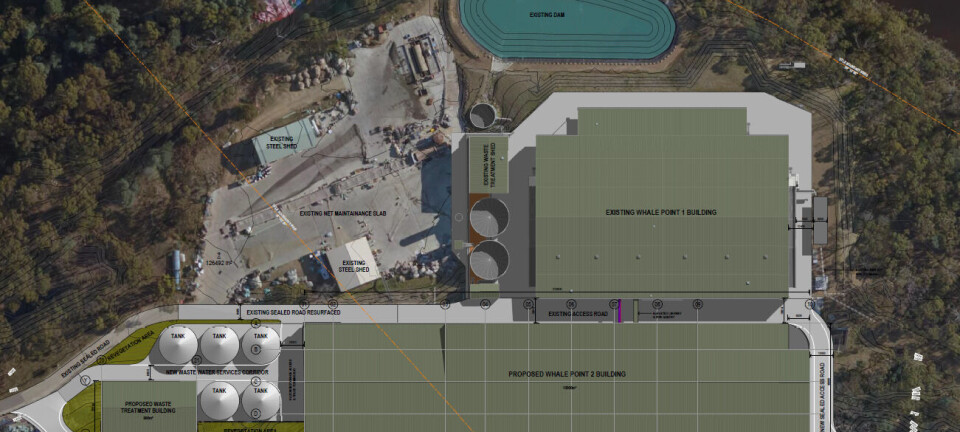 Salmonicultor incrementa su capacidad para producir post-smolts más grandes