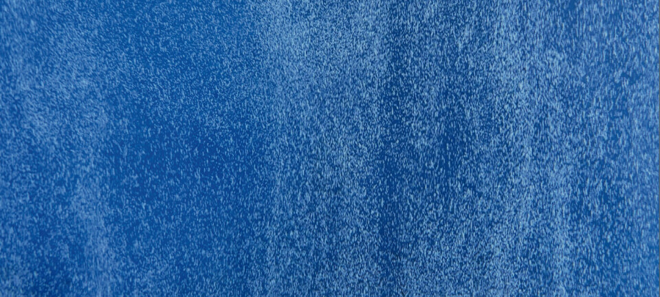 La apuesta de un proveedor acuícola en Chile por la producción de salmón en agua dulce