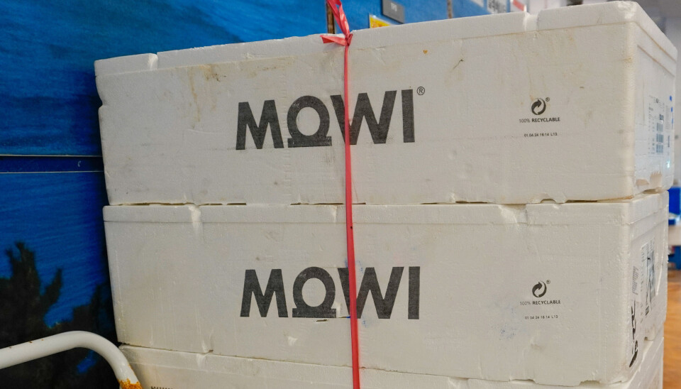 Buenas noticias para Mowi Chile en el tercer trimestre