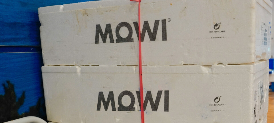 Buenas noticias para Mowi Chile en el tercer trimestre