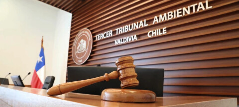 ONGs multiplican procesos contra la salmonicultura en Tribunales Ambientales