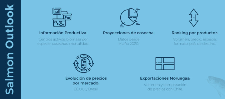 Salmon Outlook