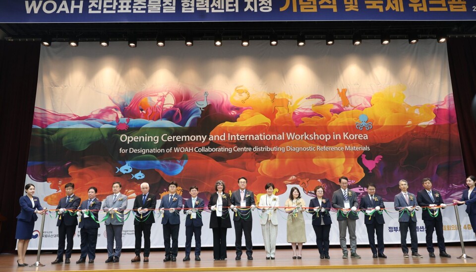 Chilena conoce de primera mano alta valoración del salmón nacional en Corea del Sur