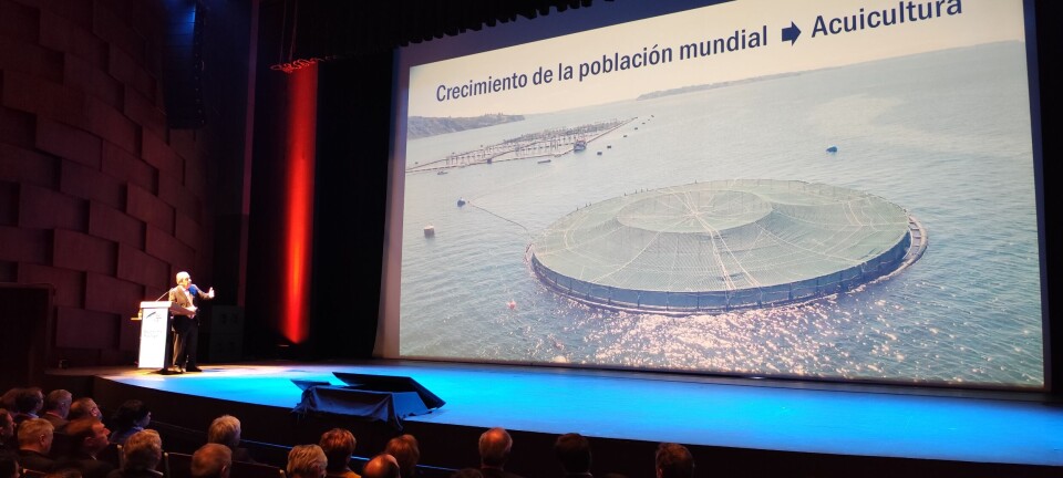 El urgente llamado a desarrollar una estrategia de largo plazo para la salmonicultura chilena