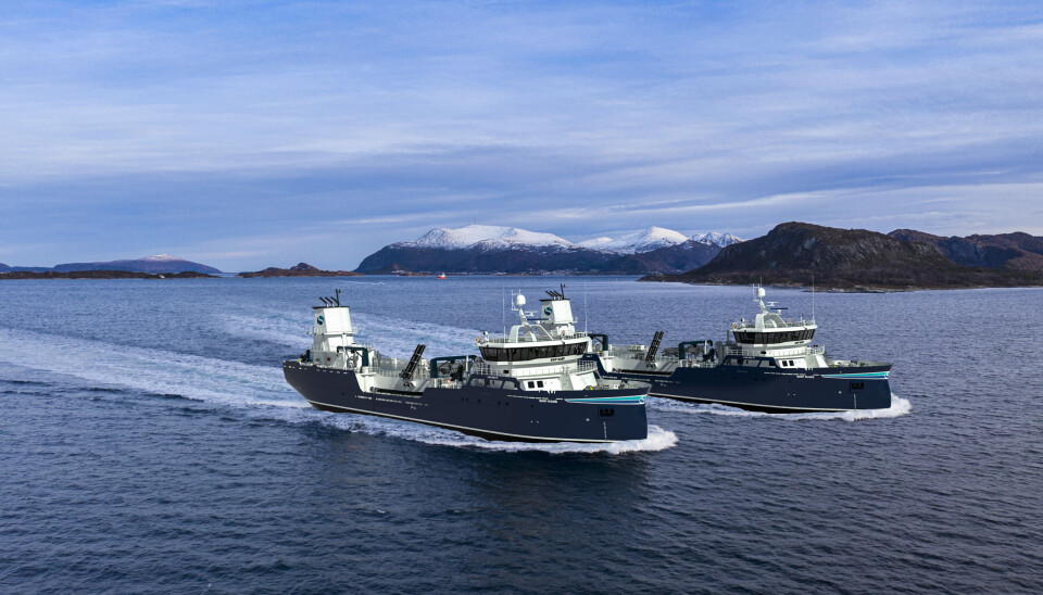 Un mercado boyante: pondrán en operación dos nuevos wellboats híbridos